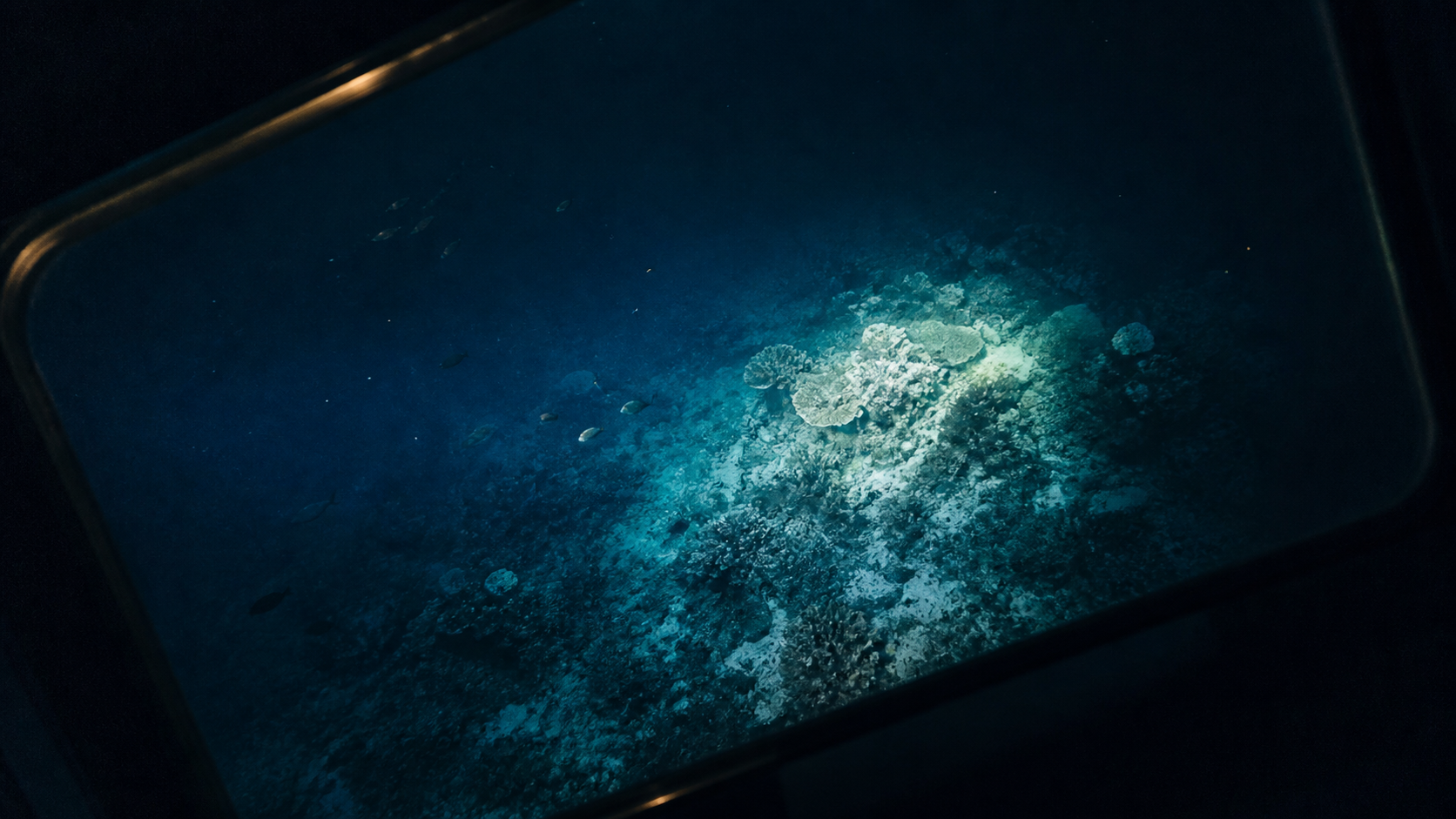 Concept view of illuminated reef water through the glass-bottom portal