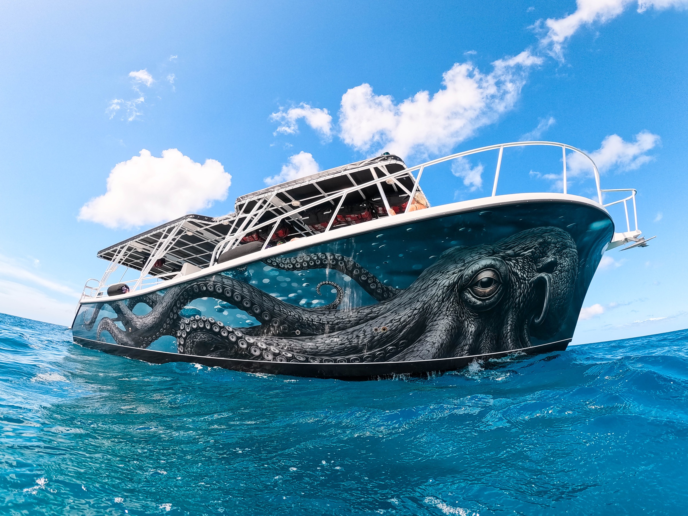 Low bow view of Illuminate’s octopus hull artwork